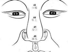 通天鼻面相|【面相鼻子】通天鼻的人有着怎样的秘密，你知道。